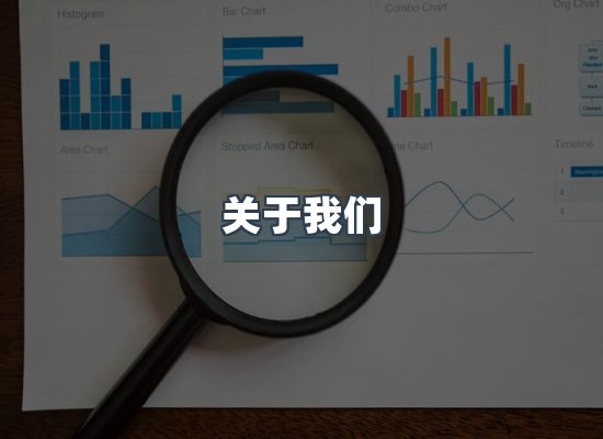 关于我们