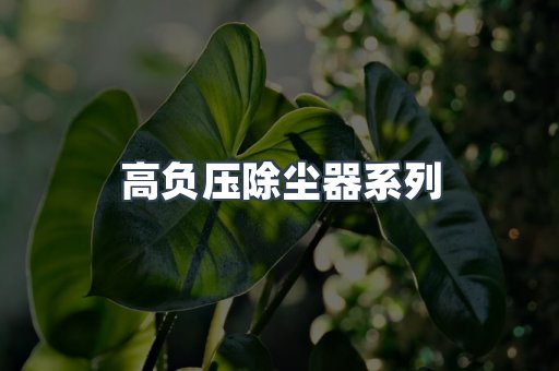 高负压除尘器系列